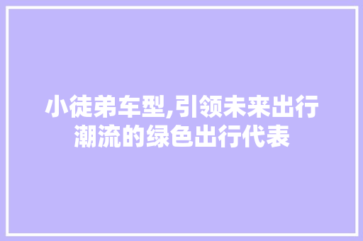 小徒弟车型,引领未来出行潮流的绿色出行代表