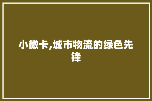 小微卡,城市物流的绿色先锋