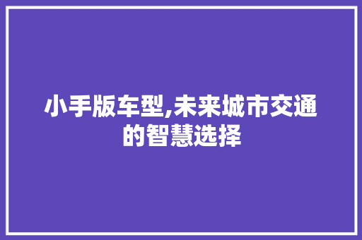 小手版车型,未来城市交通的智慧选择