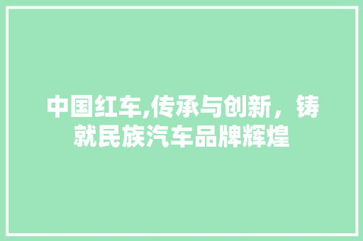 中国红车,传承与创新，铸就民族汽车品牌辉煌 蓄电池配件