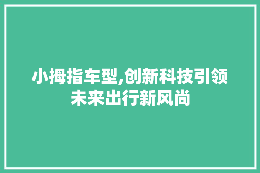 小拇指车型,创新科技引领未来出行新风尚