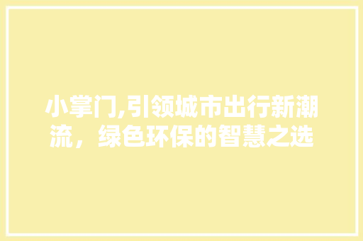 小掌门,引领城市出行新潮流，绿色环保的智慧之选