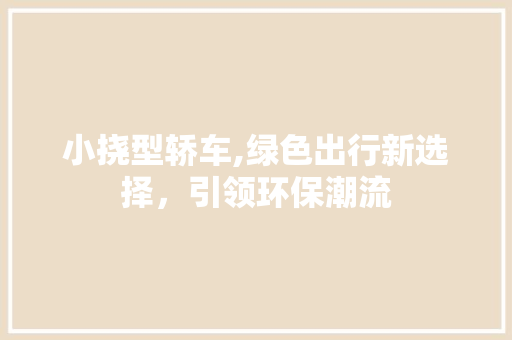小挠型轿车,绿色出行新选择，引领环保潮流