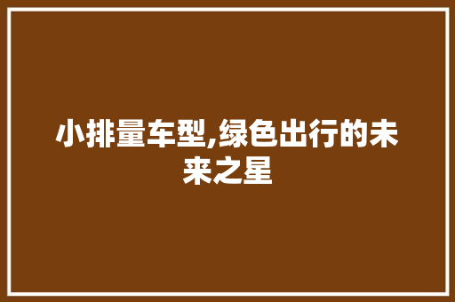 小排量车型,绿色出行的未来之星