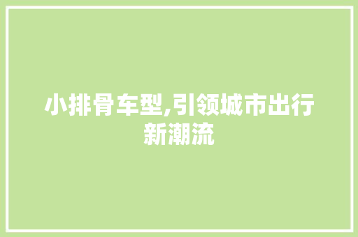 小排骨车型,引领城市出行新潮流