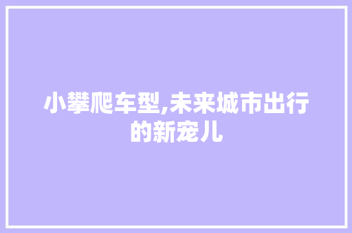 小攀爬车型,未来城市出行的新宠儿
