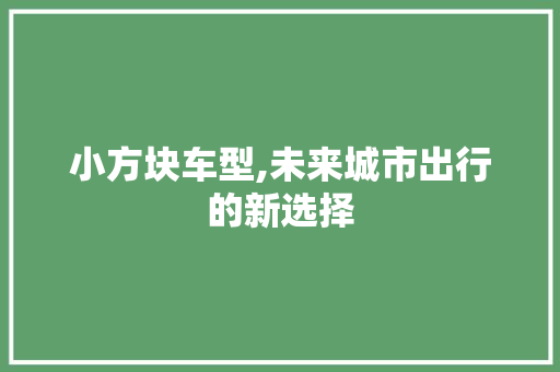 小方块车型,未来城市出行的新选择
