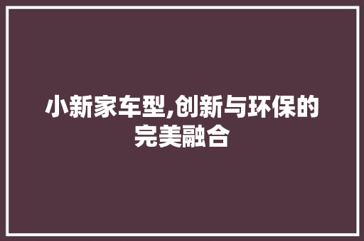 小新家车型,创新与环保的完美融合