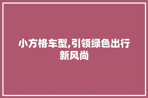 小方格车型,引领绿色出行新风尚