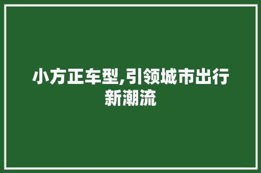 小方正车型,引领城市出行新潮流