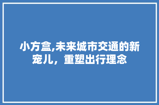 小方盒,未来城市交通的新宠儿，重塑出行理念
