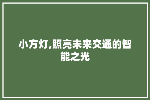 小方灯,照亮未来交通的智能之光
