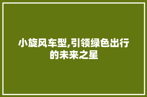 小旋风车型,引领绿色出行的未来之星