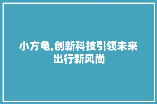 小方龟,创新科技引领未来出行新风尚