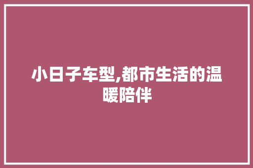 小日子车型,都市生活的温暖陪伴