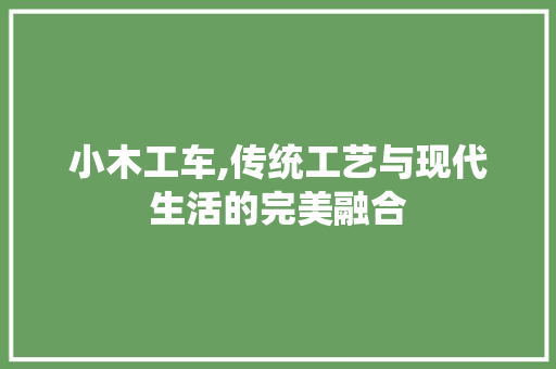 小木工车,传统工艺与现代生活的完美融合