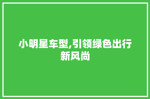 小明星车型,引领绿色出行新风尚