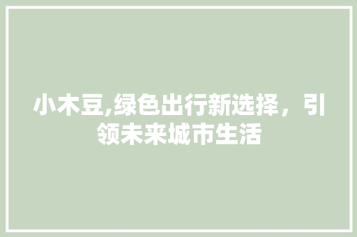 小木豆,绿色出行新选择，引领未来城市生活