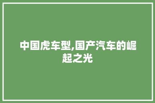 中国虎车型,国产汽车的崛起之光 发动机配件