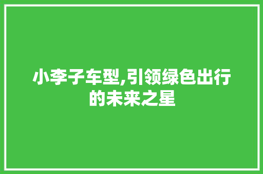 小李子车型,引领绿色出行的未来之星