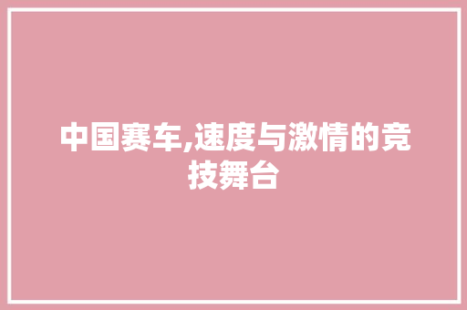 中国赛车,速度与激情的竞技舞台