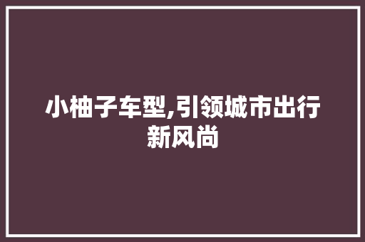 小柚子车型,引领城市出行新风尚