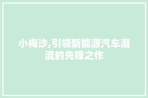 小梅沙,引领新能源汽车潮流的先锋之作