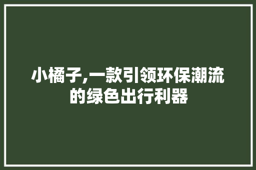 小橘子,一款引领环保潮流的绿色出行利器