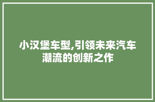 小汉堡车型,引领未来汽车潮流的创新之作
