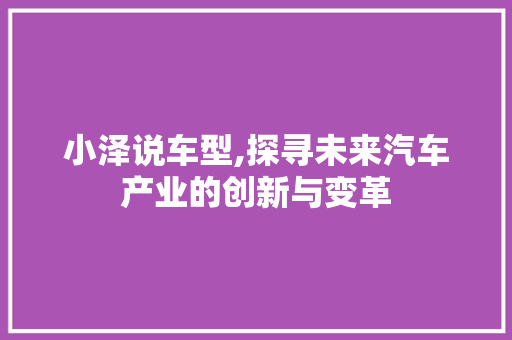 小泽说车型,探寻未来汽车产业的创新与变革