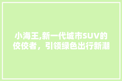 小海王,新一代城市SUV的佼佼者，引领绿色出行新潮流