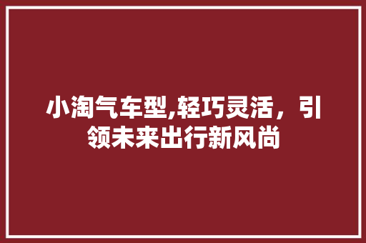 小淘气车型,轻巧灵活，引领未来出行新风尚