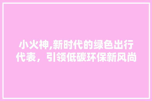 小火神,新时代的绿色出行代表，引领低碳环保新风尚