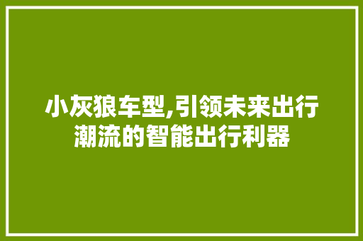 小灰狼车型,引领未来出行潮流的智能出行利器