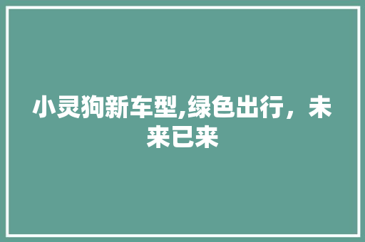 小灵狗新车型,绿色出行，未来已来