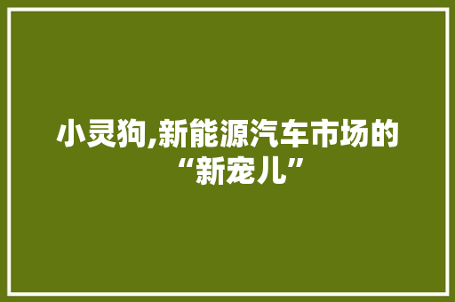 小灵狗,新能源汽车市场的“新宠儿”