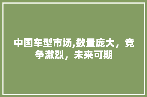 中国车型市场,数量庞大，竞争激烈，未来可期 底盘配件