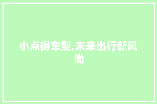 小点得车型,未来出行新风尚