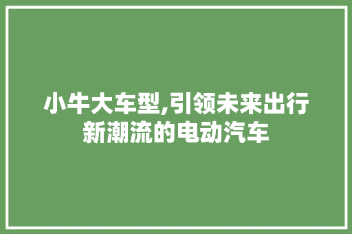 小牛大车型,引领未来出行新潮流的电动汽车