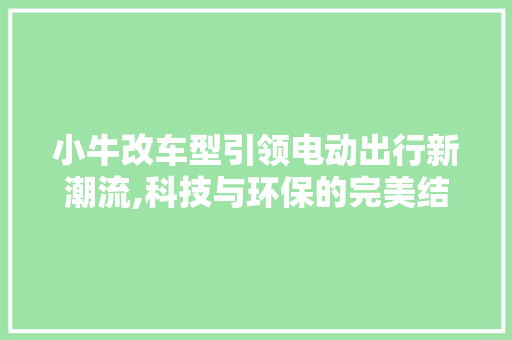 小牛改车型引领电动出行新潮流,科技与环保的完美结合