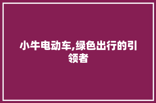 小牛电动车,绿色出行的引领者