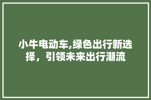 小牛电动车,绿色出行新选择，引领未来出行潮流