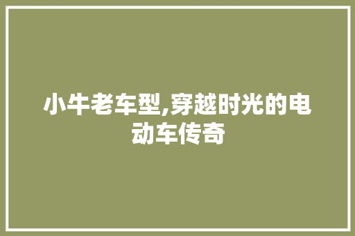 小牛老车型,穿越时光的电动车传奇