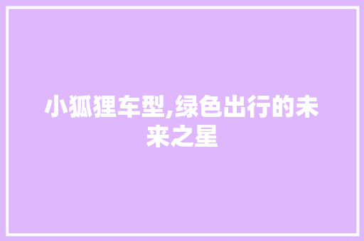 小狐狸车型,绿色出行的未来之星