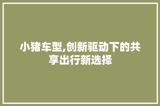 小猪车型,创新驱动下的共享出行新选择