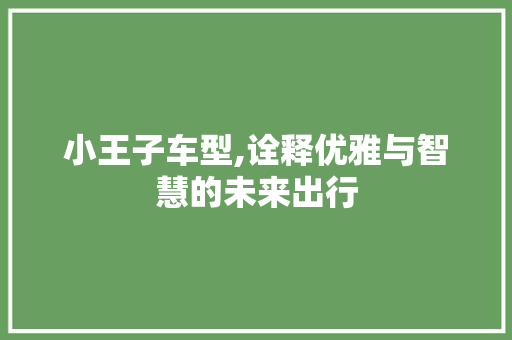 小王子车型,诠释优雅与智慧的未来出行
