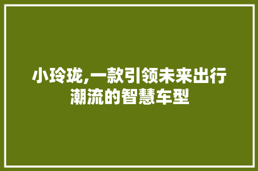小玲珑,一款引领未来出行潮流的智慧车型