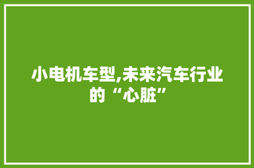 小电机车型,未来汽车行业的“心脏”