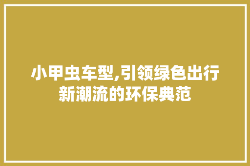 小甲虫车型,引领绿色出行新潮流的环保典范