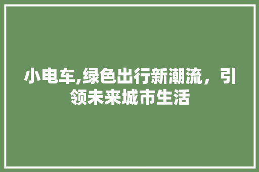 小电车,绿色出行新潮流，引领未来城市生活